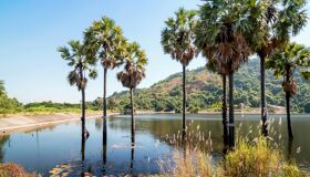 Begin your visa-prepared day with Vietnam’s tranquil ambiance